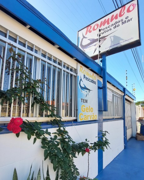 Rolumo-pescados-congelados-sao-francisco-do-sul-02 Rômulo Pescados